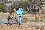 ENFANT ET CHIEN 206